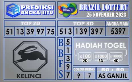 PREDIKSI BRAZIL 25 NOVEMBER 2023