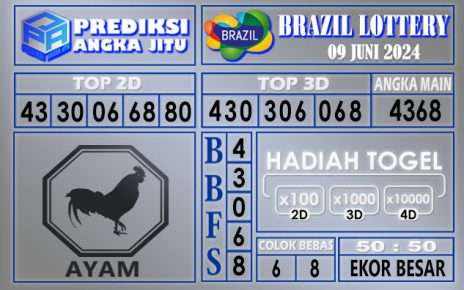 PREDIKSI BRAZIL 09 JUNI 2024