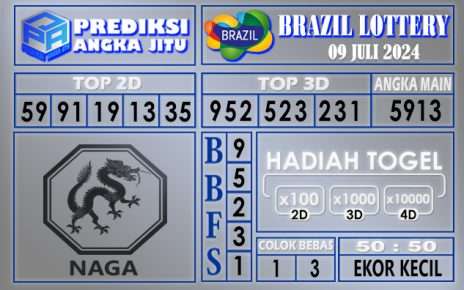 PREDIKSI BRZIL 09 JULI 2024