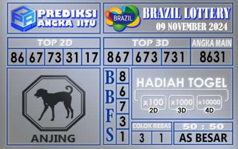 PREDIKSI BRAZIL 09 NOVEMBER 2024