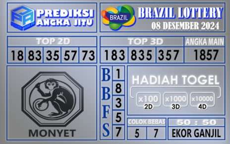 PREDIKSI BRAZIL 08 DESEMBER 2024