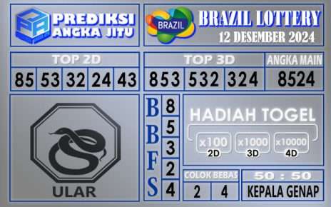 PREDIKSI BRAZIL 12 DESEMBER 2024