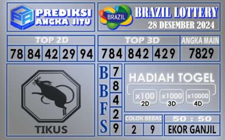 PREDIKSI BRAZIL 28 DESEMBER 2024