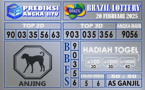 PREDIKSI BRAZIL 20 FEBRUARI 2025